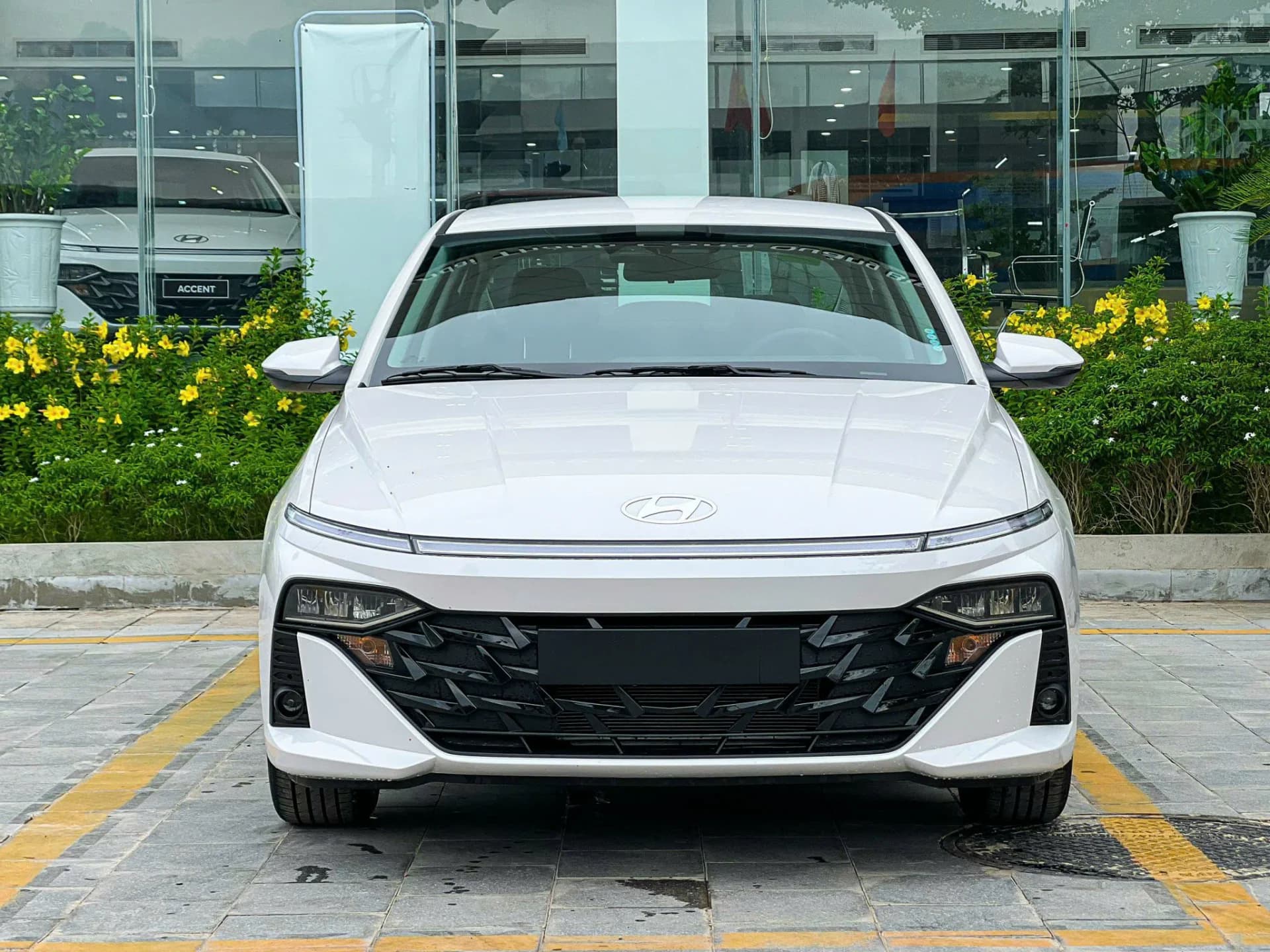 Phần đầu xe
